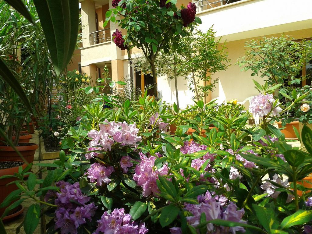 Hotel Chuchulev Sozopol Ngoại thất bức ảnh