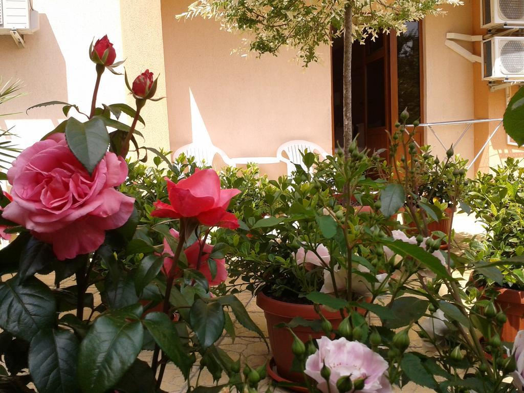 Hotel Chuchulev Sozopol Ngoại thất bức ảnh