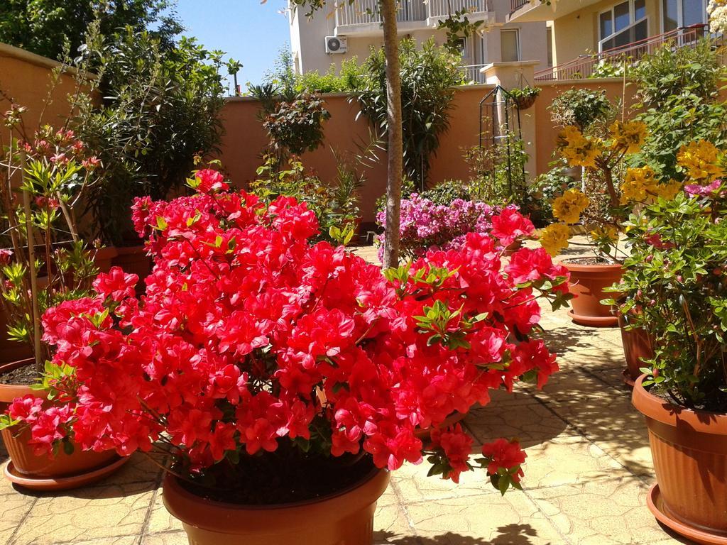 Hotel Chuchulev Sozopol Ngoại thất bức ảnh
