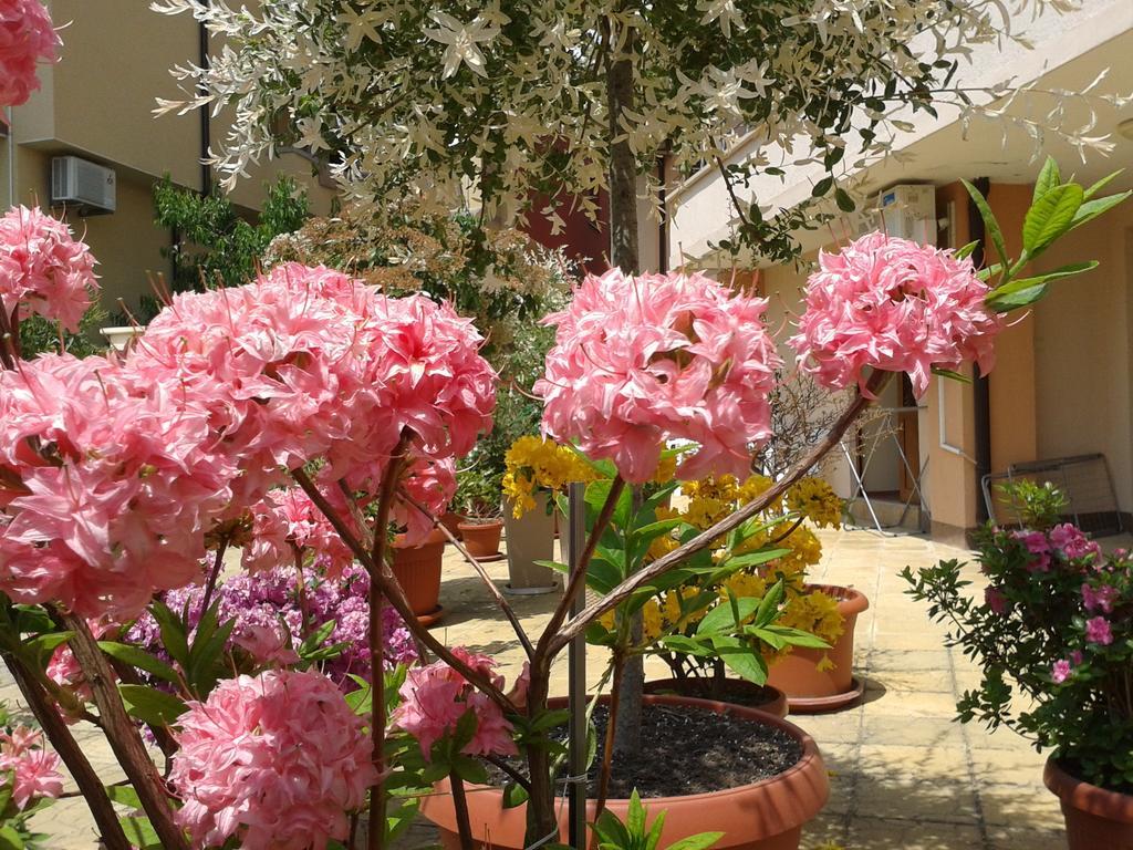 Hotel Chuchulev Sozopol Ngoại thất bức ảnh